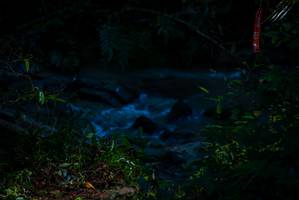 BIB: 
                            <button type="button" onclick="openModal(19307243)" class="btn btn-primary btn-sm float-right btn-popup" data-toggle="modal" data-target=".modal-high-quality">
                        <i class="fas fa-shopping-cart"></i> Add to Cart
                    </button>
                                            <button type="button" onclick="isThisMe(19307243, true)" class="btn btn-success btn-sm float-right btn-popup btn-isme hidden" data-toggle="tooltip" data-placement="bottom" title="นี่คือรูปของคุณใช่ไหม คลิกที่นี่เพื่อเอาเข้าอัลบั้ม">
                        <i class="fas fa-plus"></i> Add to album
                    </button>
                    <button type="button" onclick="isThisMe(19307243, false)" class="btn btn-warning btn-sm float-right btn-popup btn-isnotme hidden">
                        <i class="fas fa-ban"></i> Remove from album
                    </button>